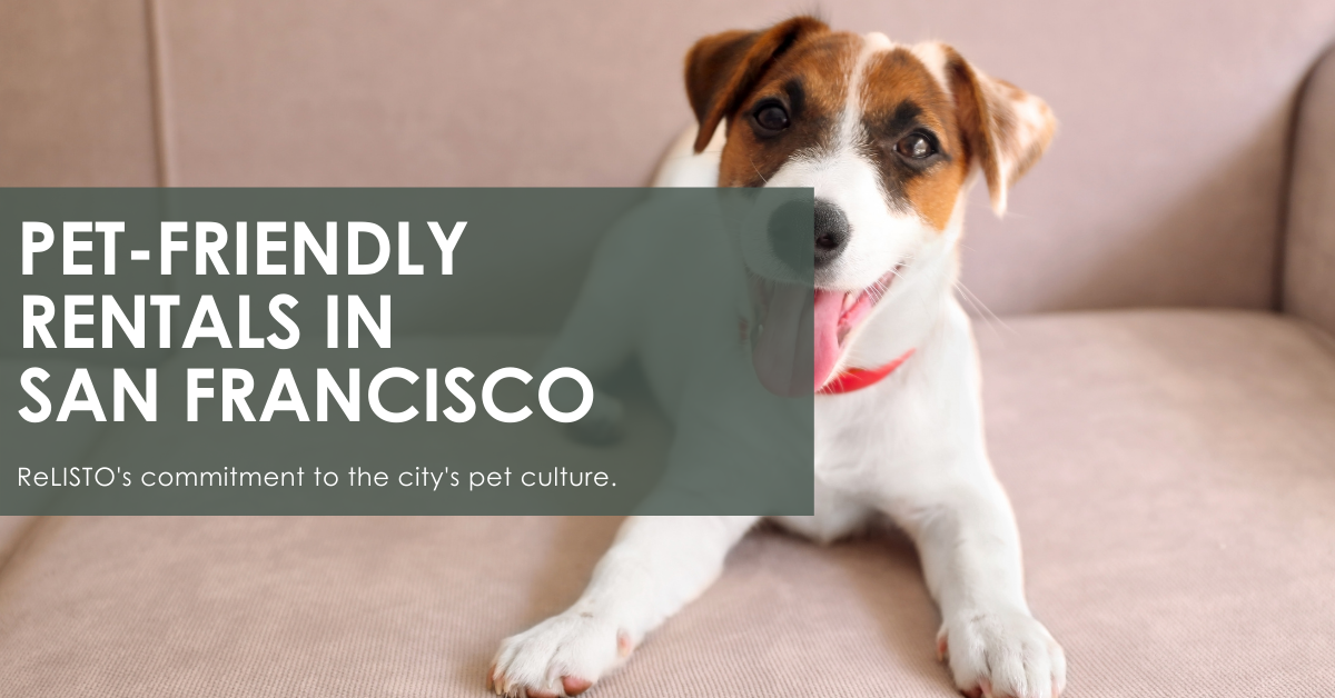 Find Pet-Friendly Rentals in San Francisco with ReLISTO