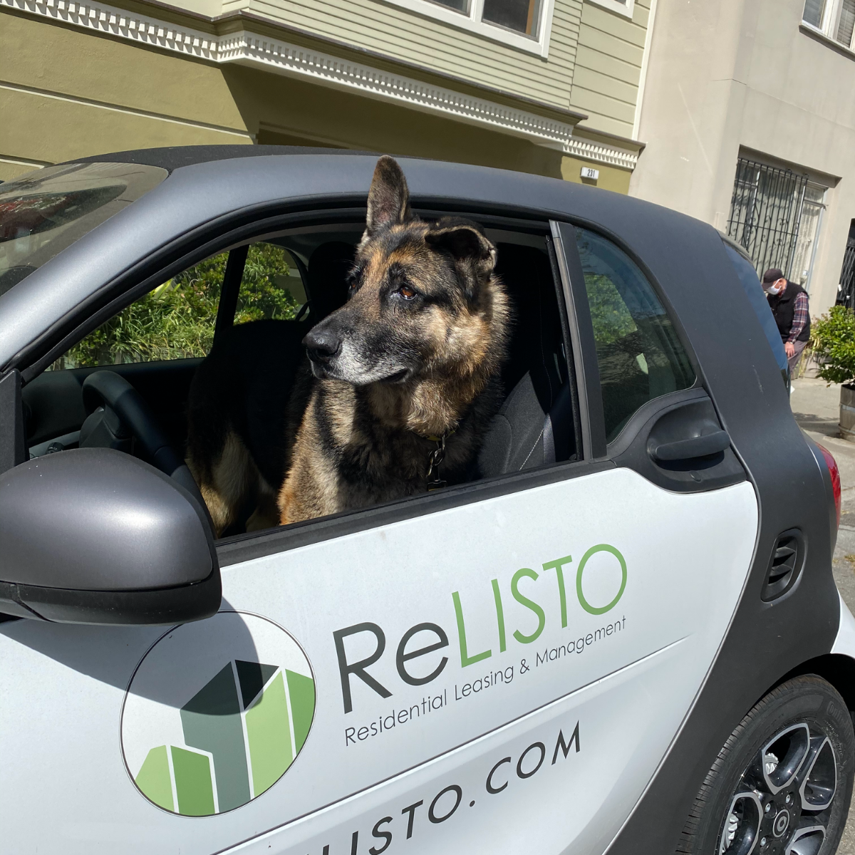 Pet-friendly rentals in SF